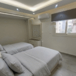 stunning maadi apartment direct from owner (no commision)