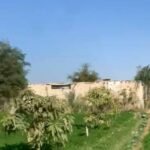 للبيع ارض مباني علي مساحة 4قيراط ومنزل بالغربية مركز السنطه قرية البادنجانية