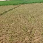 للبيع ارض مباني علي مساحة 4قيراط ومنزل بالغربية مركز السنطه قرية البادنجانية