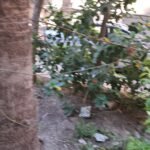 شقة للبيع بالاسكندرية – بشارع مصطفى كامل بجوار جاردينيا وسنترال مصطفى كامل بالعوايد