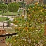 شقه من المالك مباشرة بالحى التاسع مدينة العبور