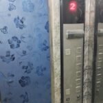 حدائق الاهرام منطقة ح خطوات من شارع الجيش