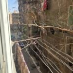 شارع السبده زينب من شارع سليم الاول – حلميه الزيتون
