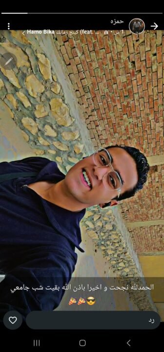 Hamza elborg