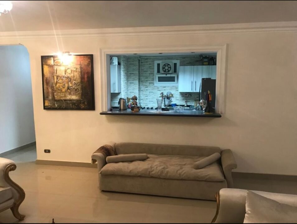 الواحة القديمة مدينة نصر