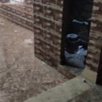 شقه للبيع ١٠٠ متر فى الاسكندرية