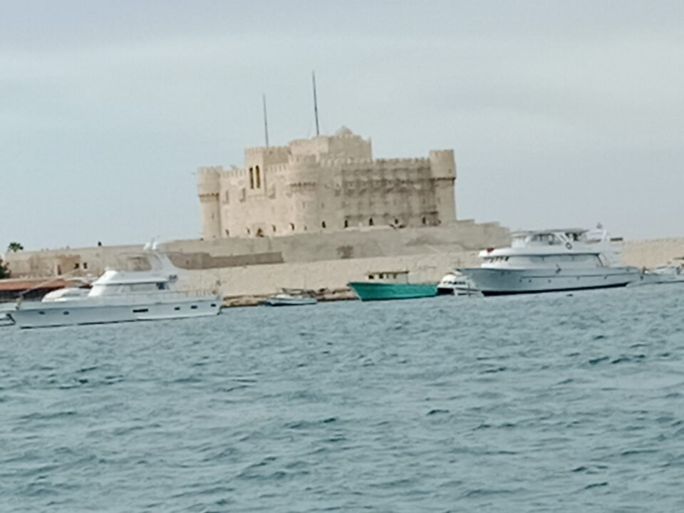 شريف عمر
