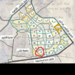 محمد حفنى