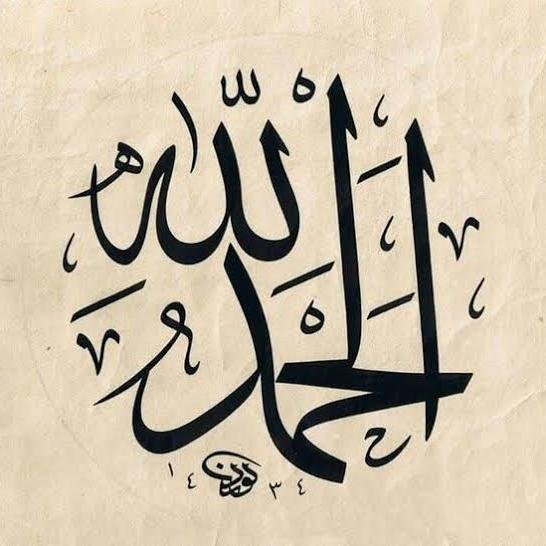 نصر مصطفي