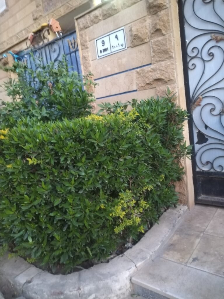 شقه فى العبور الحى التانى