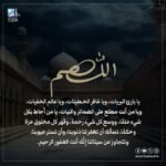 abdellahezzat61