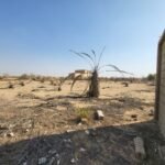 للبيع قطعة أرض استثمارية مميزة بالريف الأوروبي (القطاع الدنماركي) قطعة رقم 53