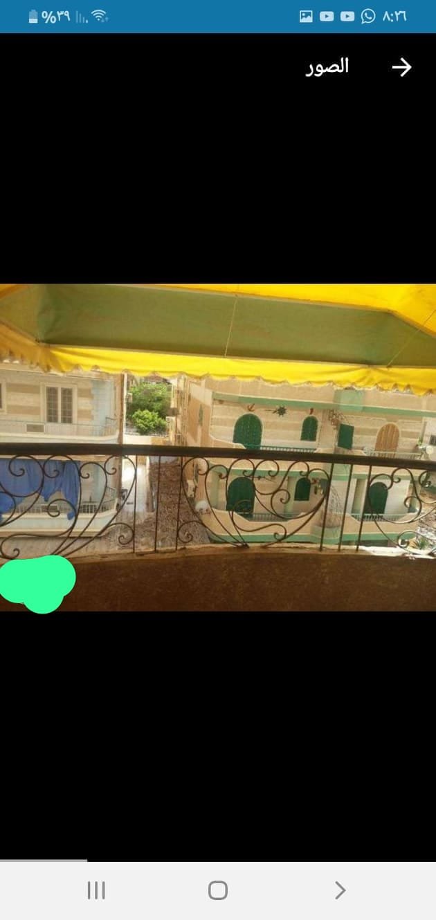 اكتوبر شاطئ النخيل الاسكندريه