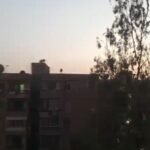 صفوان عبدالمنعم