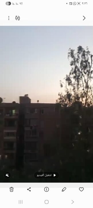 صفوان عبدالمنعم