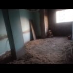 باب الشعريه ظاهر وسط البلد