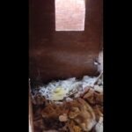 شقه للبيع ٧٥متر بزهراء مدينة نصر