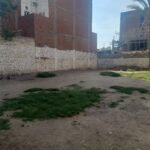 قطعة أرض فضاء ٤٢٥م للبيع او للإستثمار بالمشاركة بالأرض بفاقوس الشرقيه