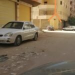 جسر السويس الجديدة امنحتب