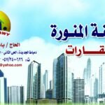 Yasser alzeftawy