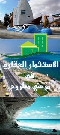 Moustafa Eid