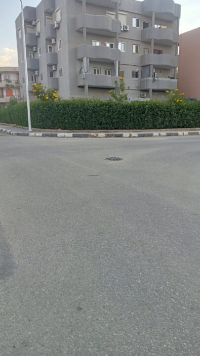 mahmod1985224