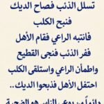 ibrahimamin201725_google