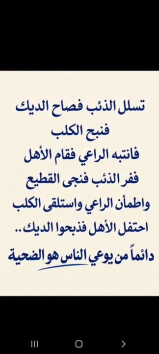 ibrahimamin201725_google