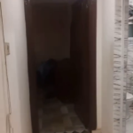شقة لقطة للبيع